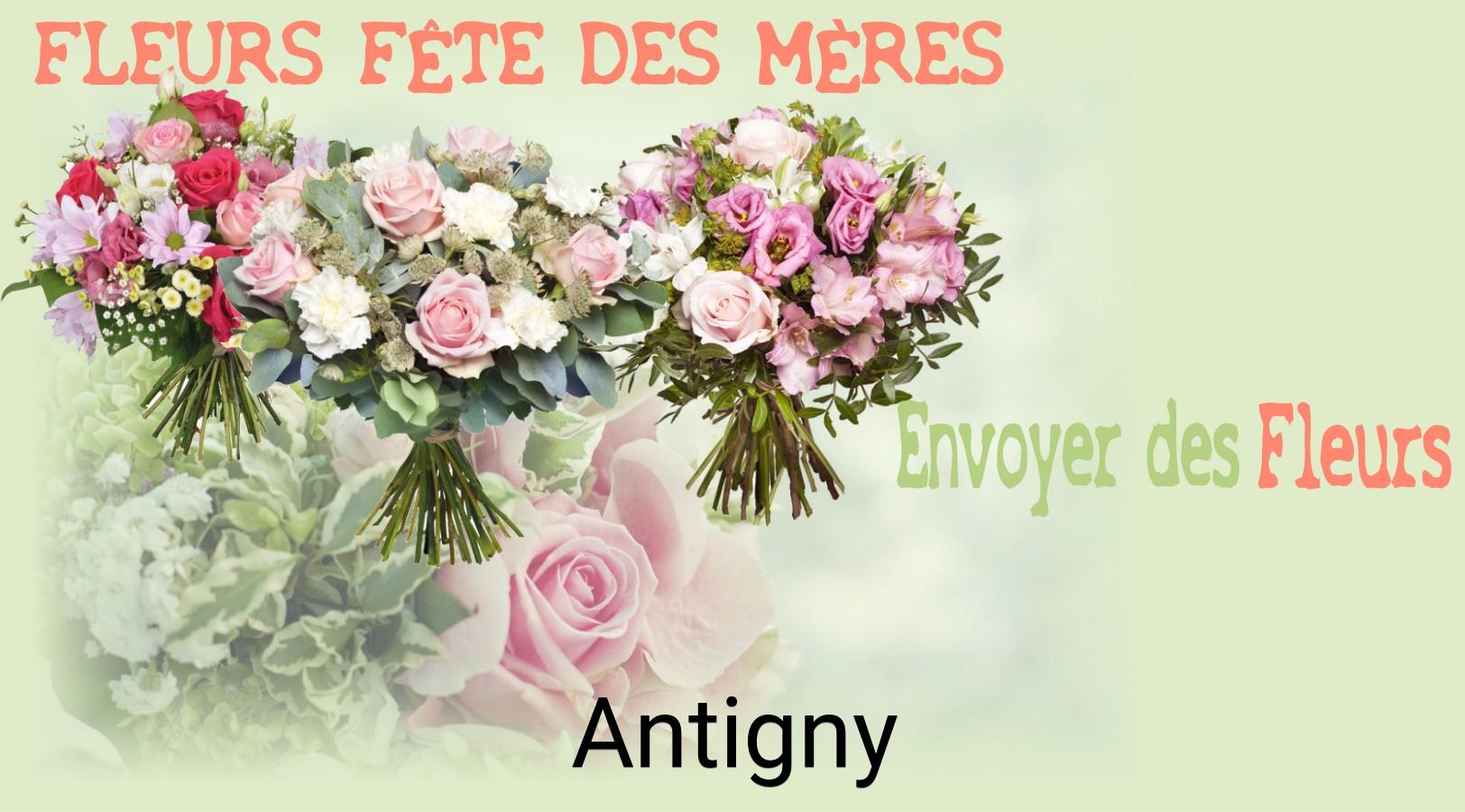 Bouquet de Fête des Mères livré à Antigny